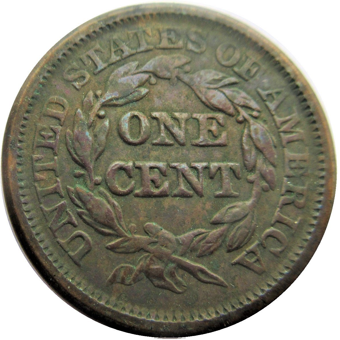 1844/81-1c-Braided-Hair-Large-Cent-#2